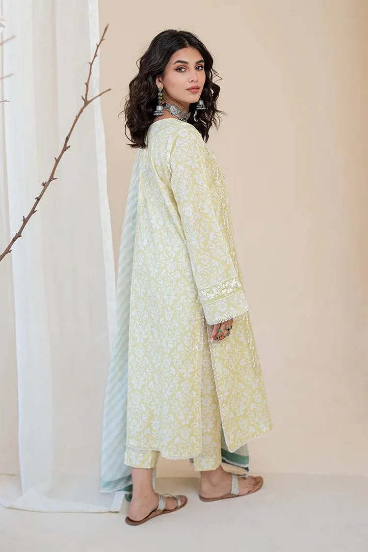 02 Amber Omaya Summer Lawn Collection